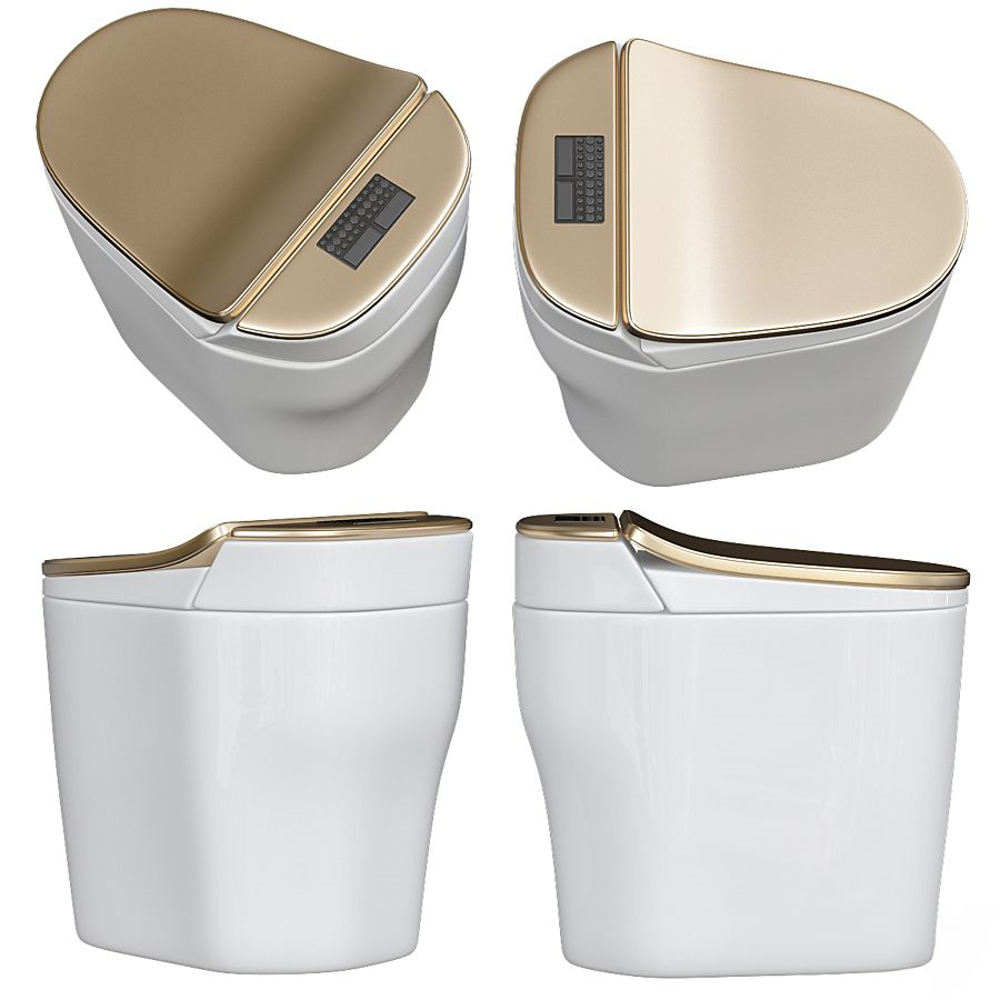The smart toilet